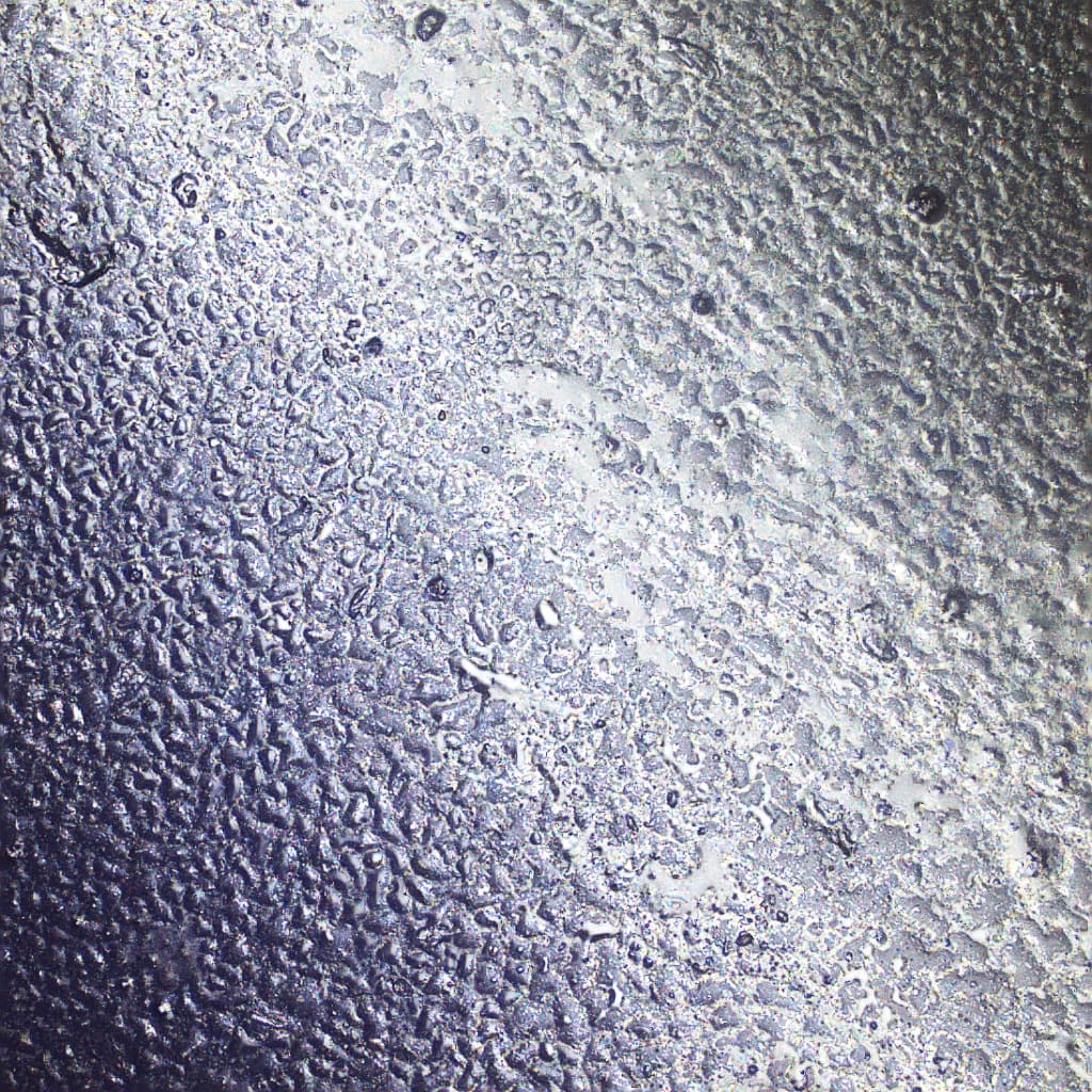 使用顯微鏡對氟材料樣品表面觀察
