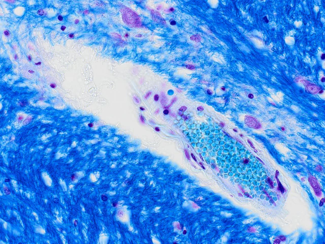 20200127 Bb46247557e330bc0e05ad734e67ddf1