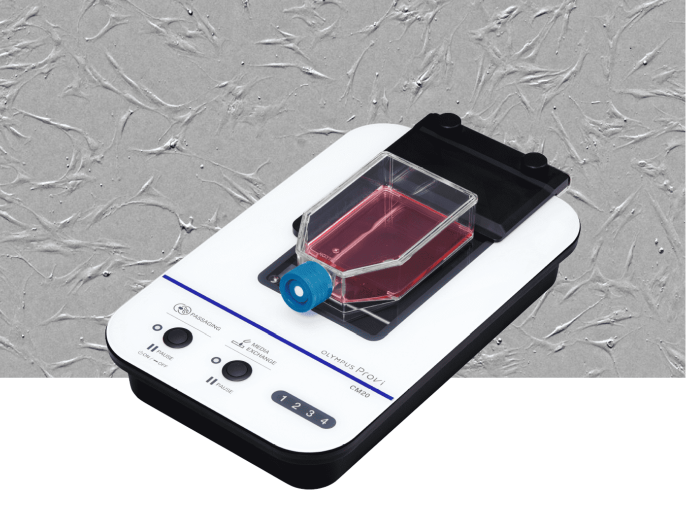 20220610 903f3ee0a912f8e52a38f6be6994df6f