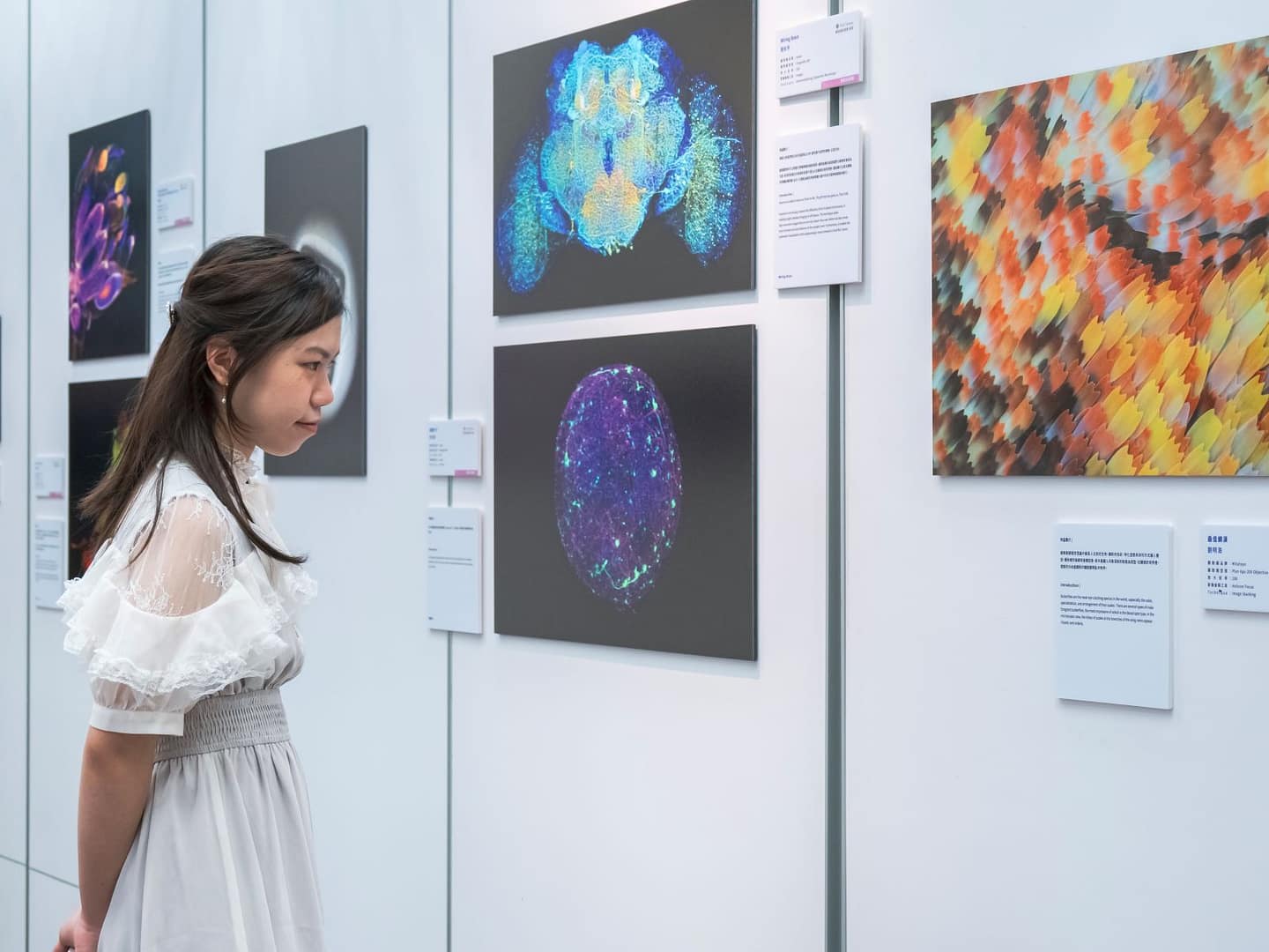 Taiwan 顯微攝影競賽（Taiwan Microscope Image Contest）今年邁入第五屆