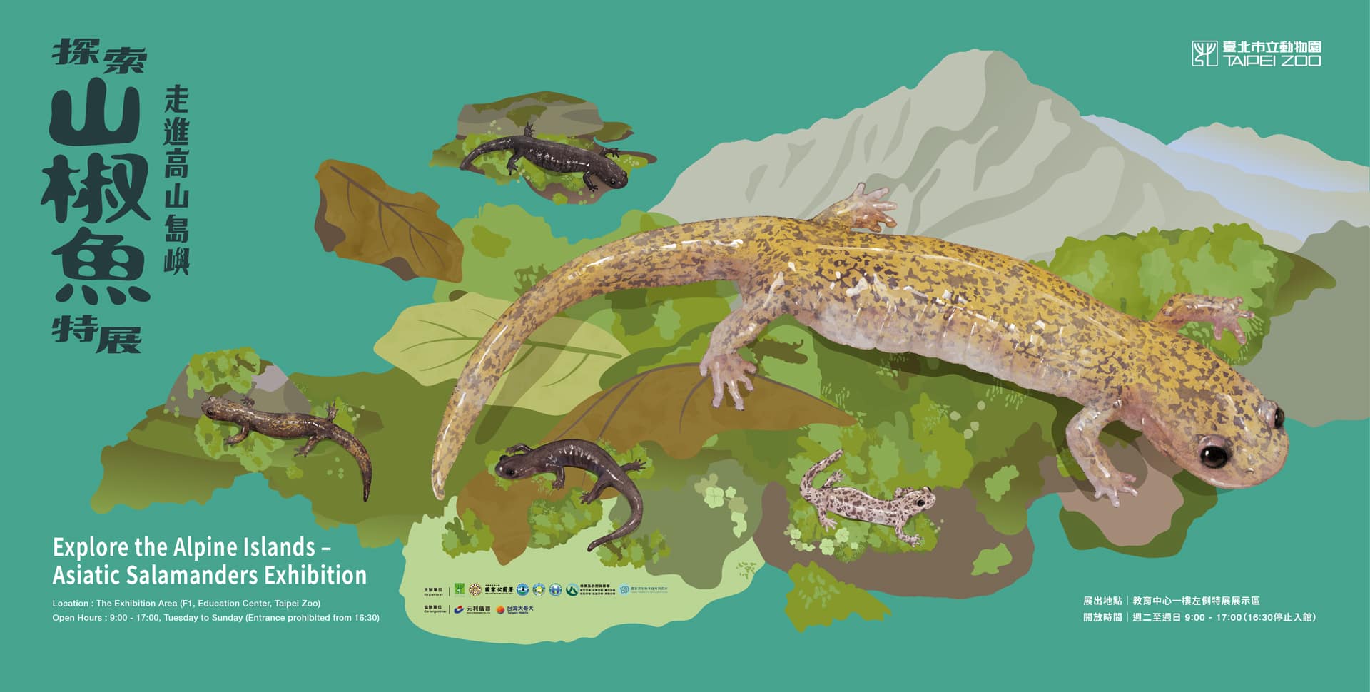 山椒魚特展 @臺北市立動物園教育中心