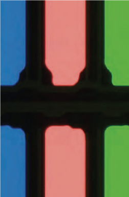 20220111 25a6fa997a26f0022ee5c6b24569dec7