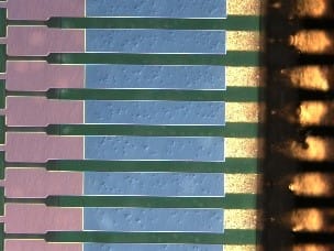 20220111 6ff2df20b530da17de937f4ad58923c9