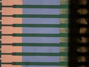 20220111 894db18ecfb6d7341d2dafefcf87be01