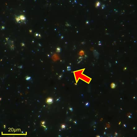 透過DSX100拍攝超微化石