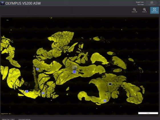 20220831 C21056e1198b881a98f830d8e7d7f952