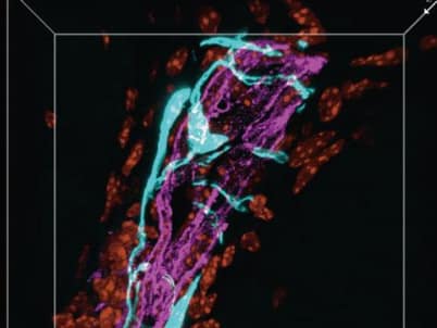 20190927 C6db9057eb0d642520e3eb0f8a55ad10