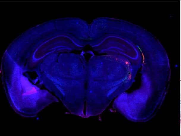 20200914 C382b48713654c1449ebfa715e49528b