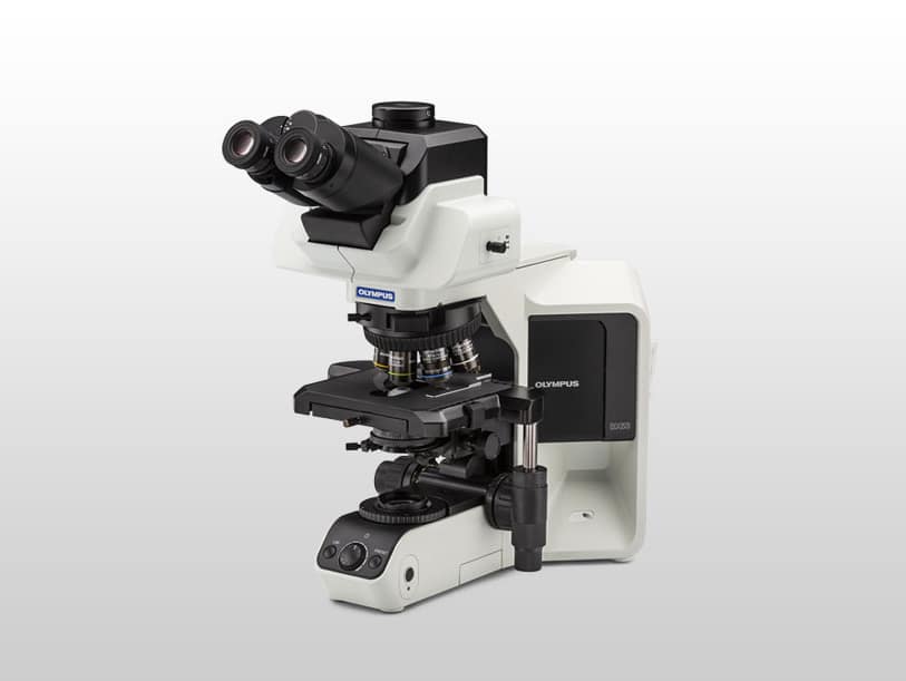 20211214 711cf27a685932cc00c08c1eebaa45c2