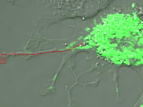 20230411 9ba7ba6a98db1a99662612dee5c18940