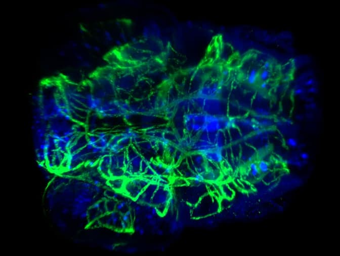 20200911 200239e850bc7486d9c292c97cfe9d3b