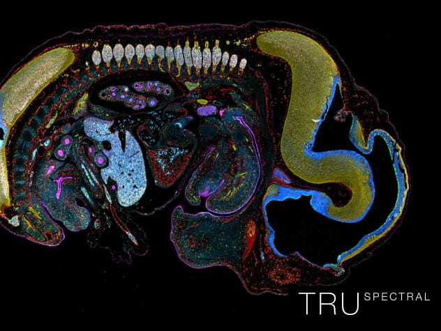 20211105 B8dcbfd817314879a0a6be59a52f8862