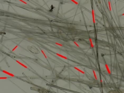 20230713 8665e1e52558b2175096d7237b39cceb