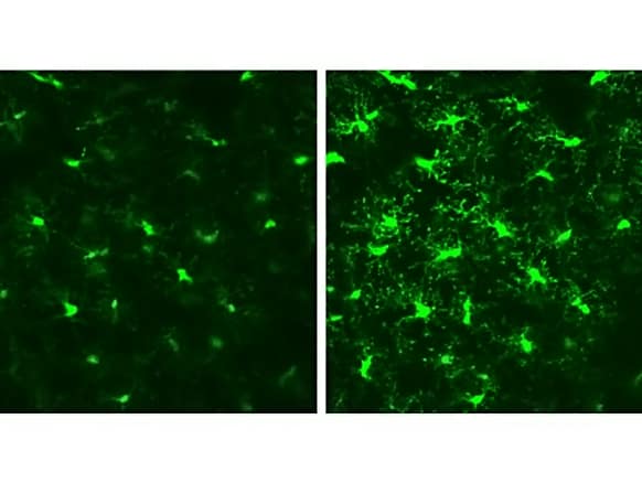 20200427 64779a663d56f437f3cedf16e6b4d71f