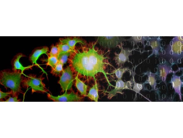 20200608 7fc5d8e0b885e8b95bb6ed56f13c59cc