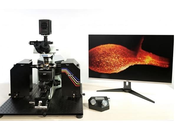 20210616 7d64e73fe6ddd911381de51cd3b6b6b9