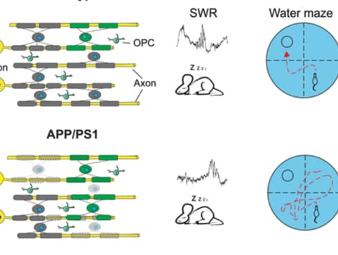 20230710 E207382bda13810e6cff2cccb2a3cab9
