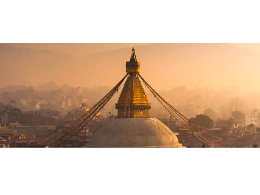 20200413 4c8430a012d86c81d5fcdd0d08110472