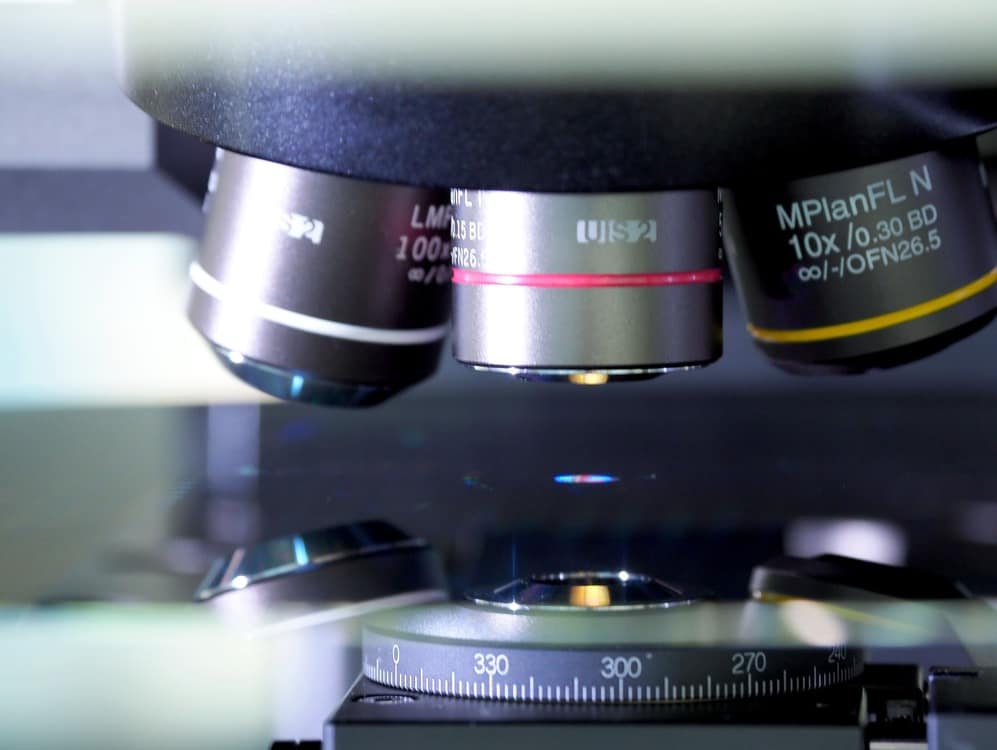 20230104 8dfc49d1af16a334191d9cd125a589f8